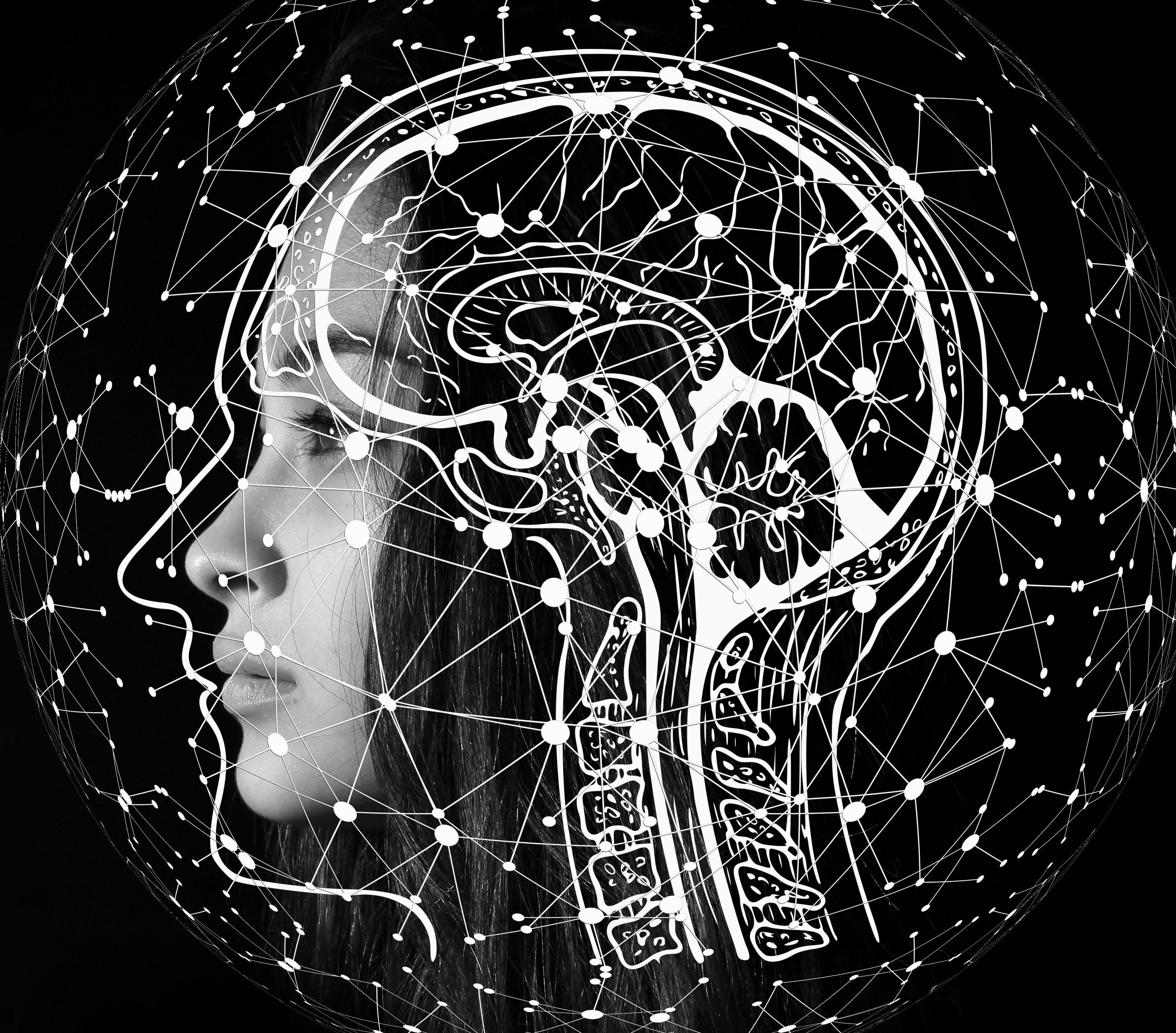 Industry professional reviewing specialized terminology with an AI assistant